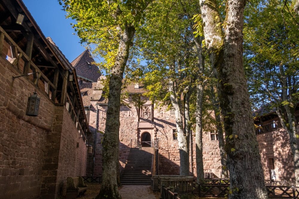 Jardin du Château du Haut-Koenigsbourg, Orschwiller