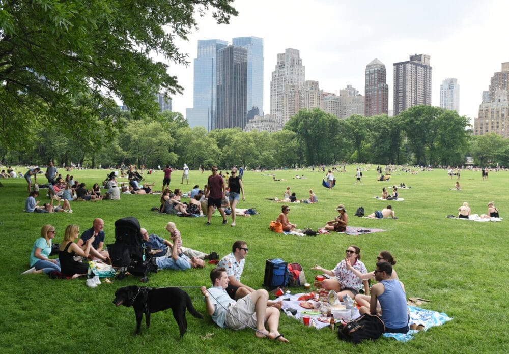 Sheep Meadow à Central Park