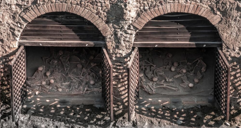 Squelettes retrouvés dans les entrepôts du port Herculanum