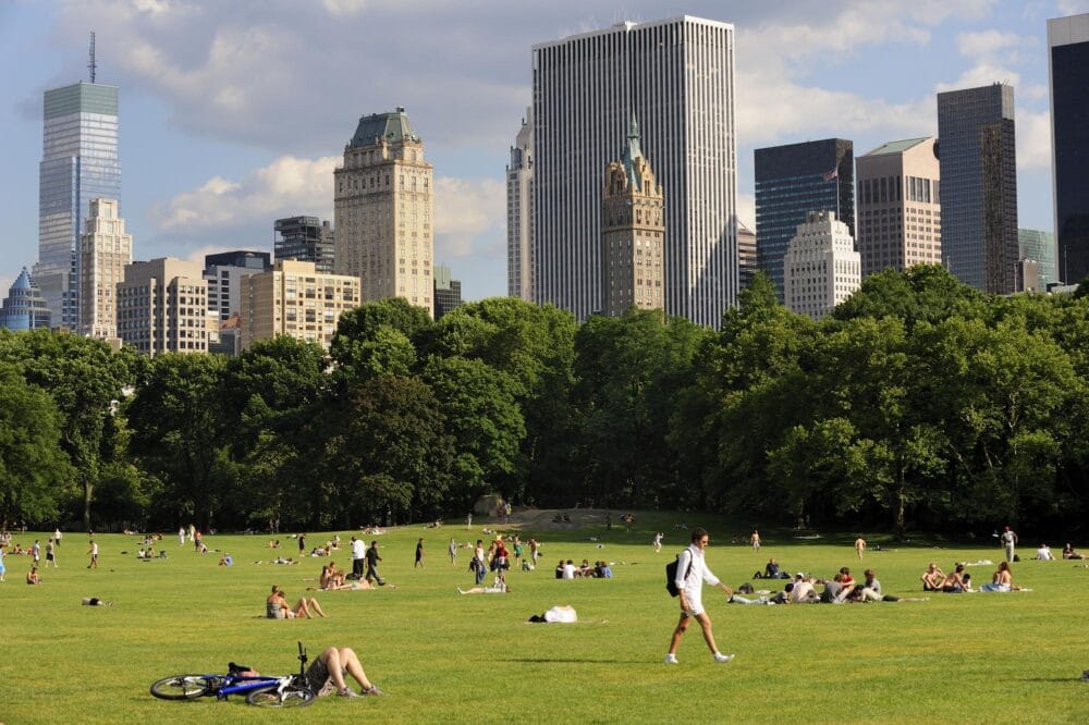 The Great Lawn à Central Park