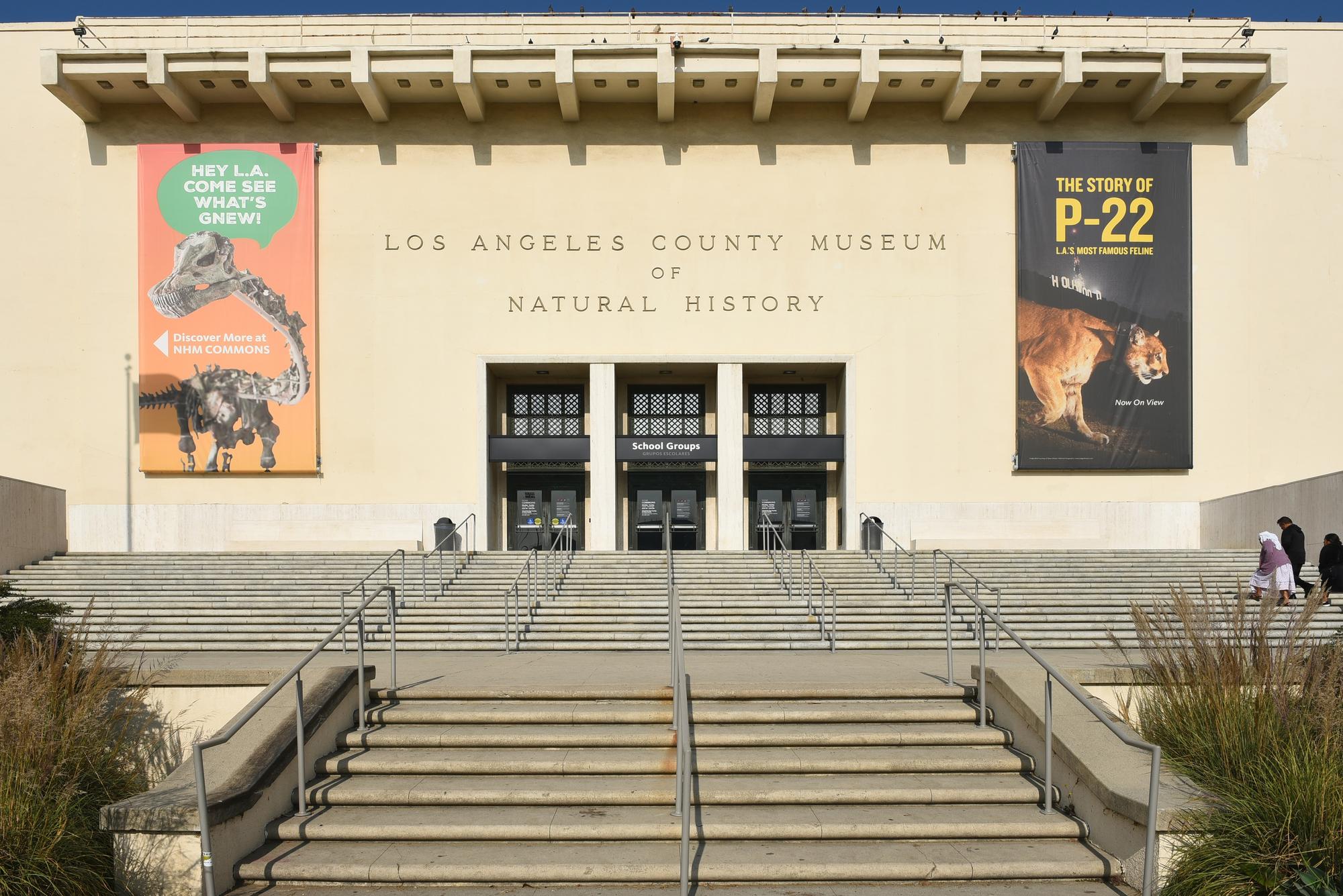 Musée d’histoire naturelle de Los Angeles