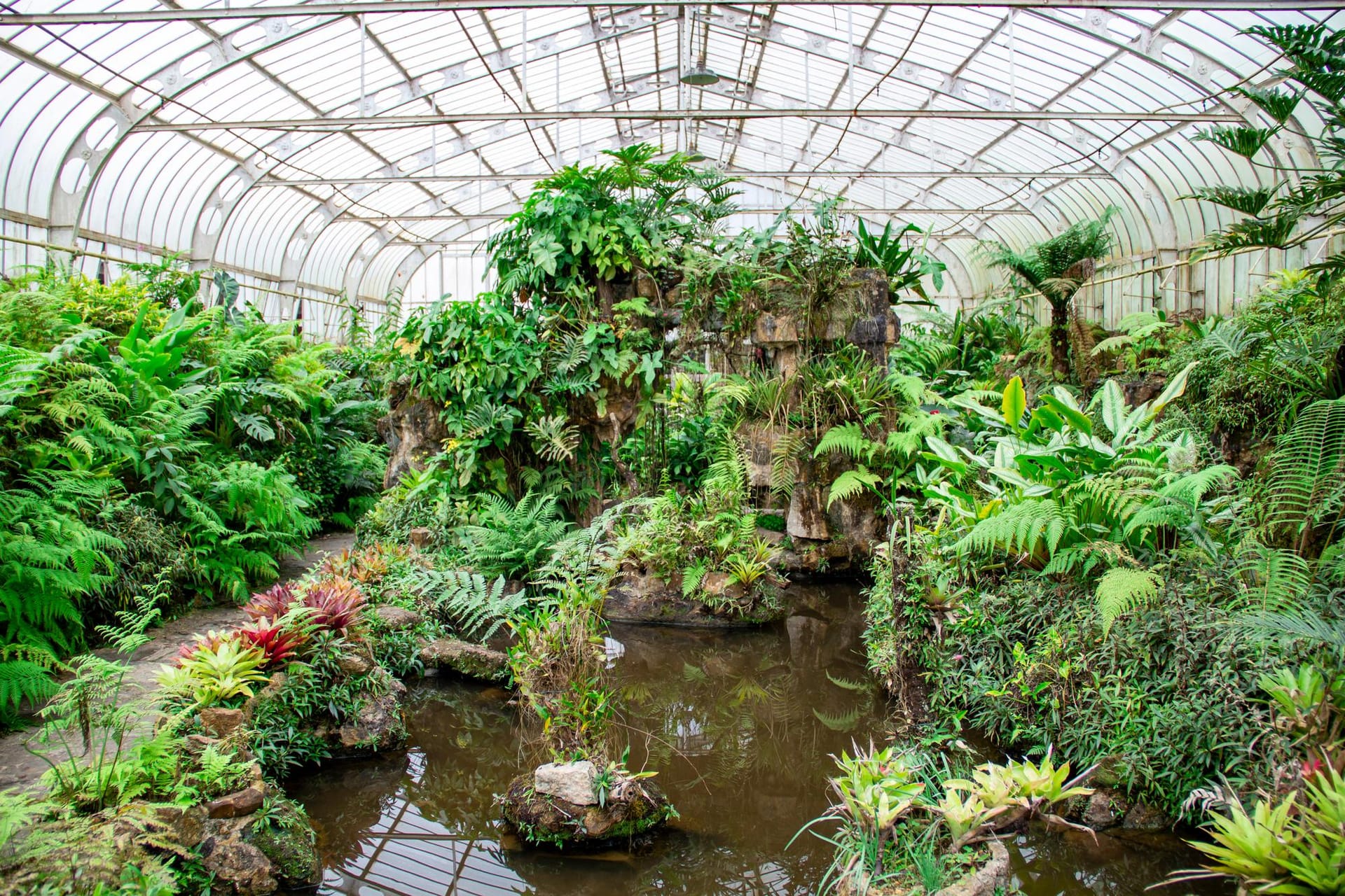 Jardin botanique de São Paulo