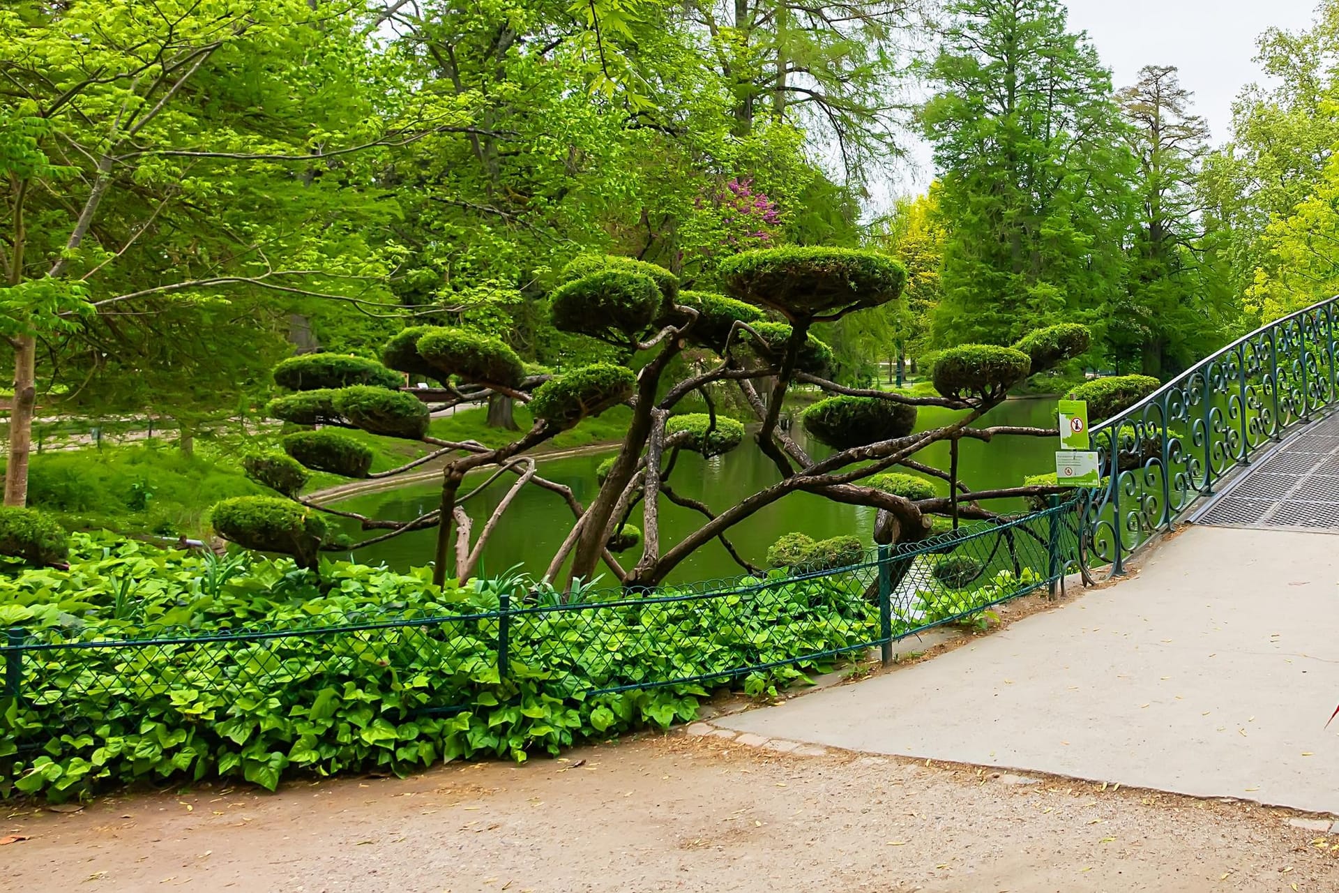 Le Jardin public de Bordeaux
