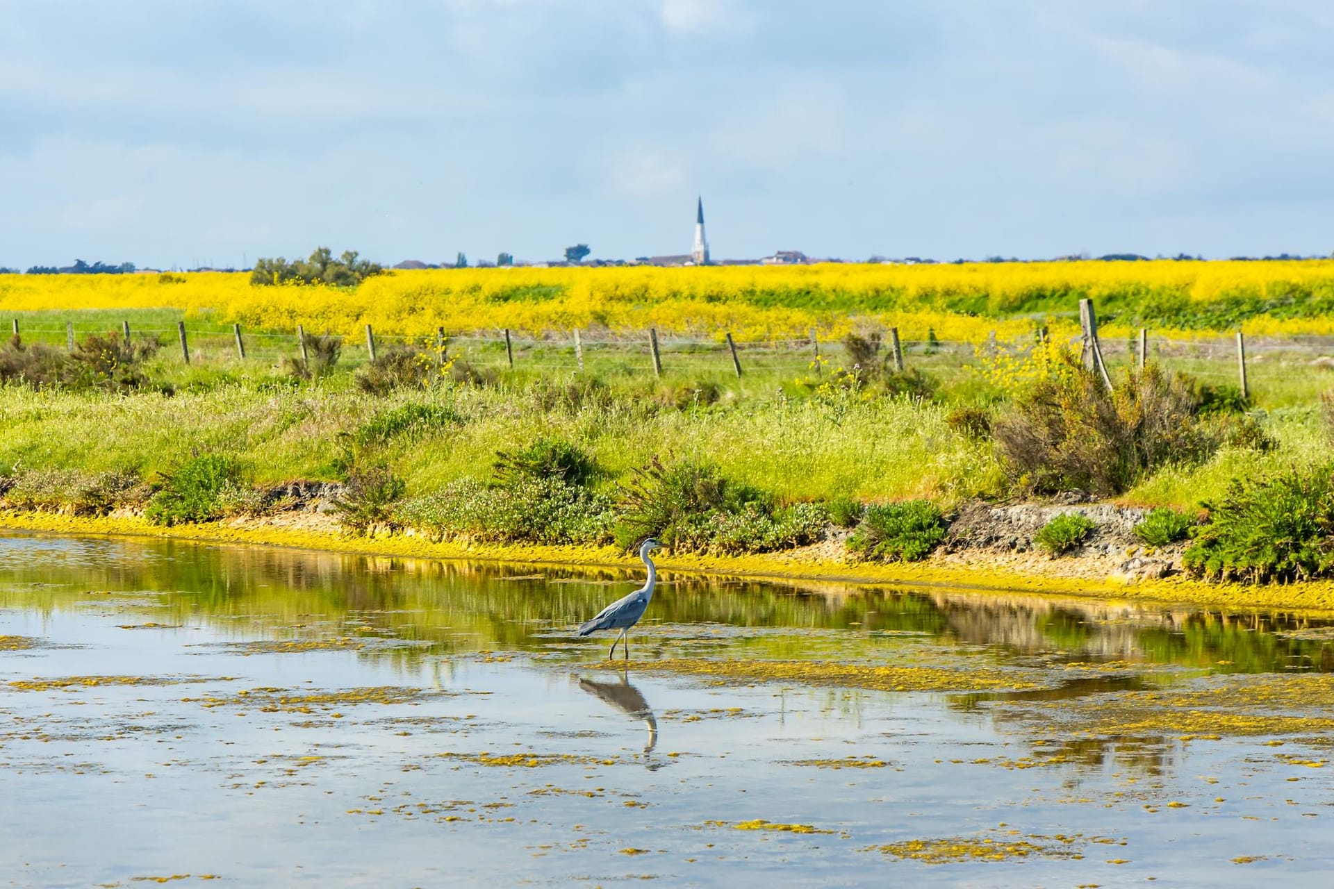 Réserve naturelle nationale de Lilleau des Niges