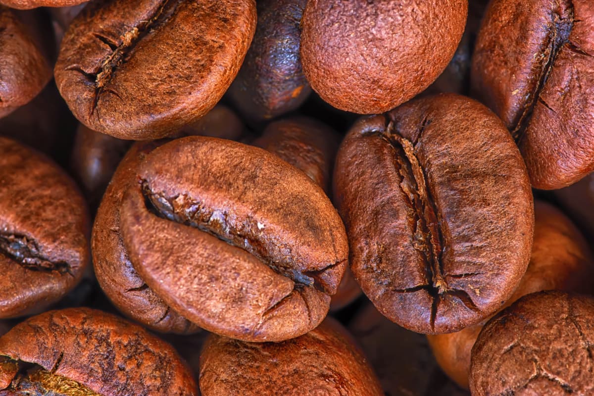 Dégustation de café & thé