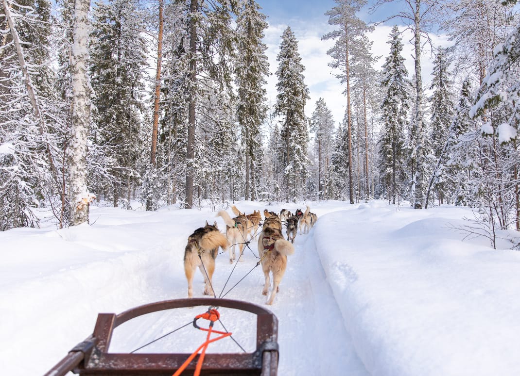Les meilleures excursions en traîneau en Suède