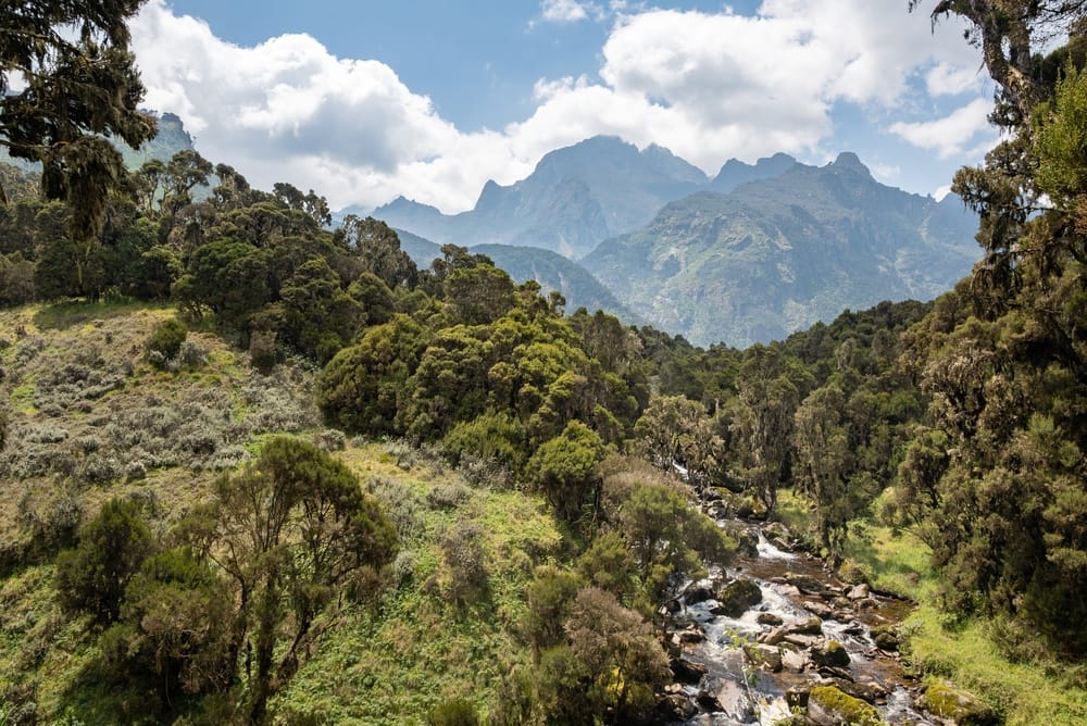 Ouganda : les meilleures activités à faire