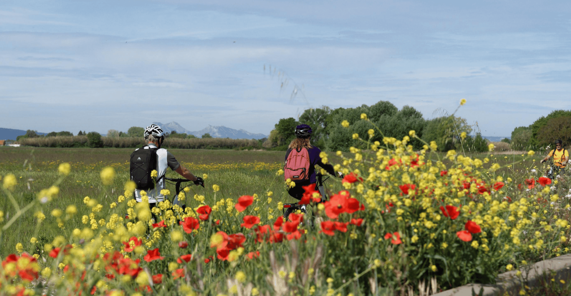 Visite à vélo du Luberon