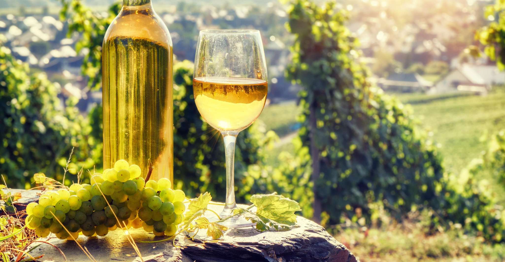 Découvrir Riesling et Gewurztraminer sur la Route des Vins