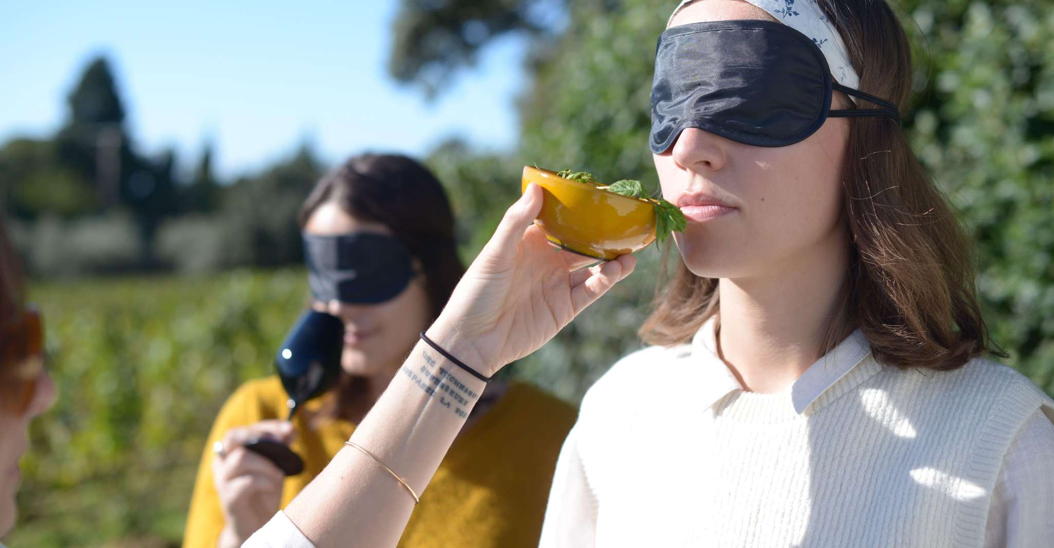 Déguster vins locaux chez les vignerons locaux