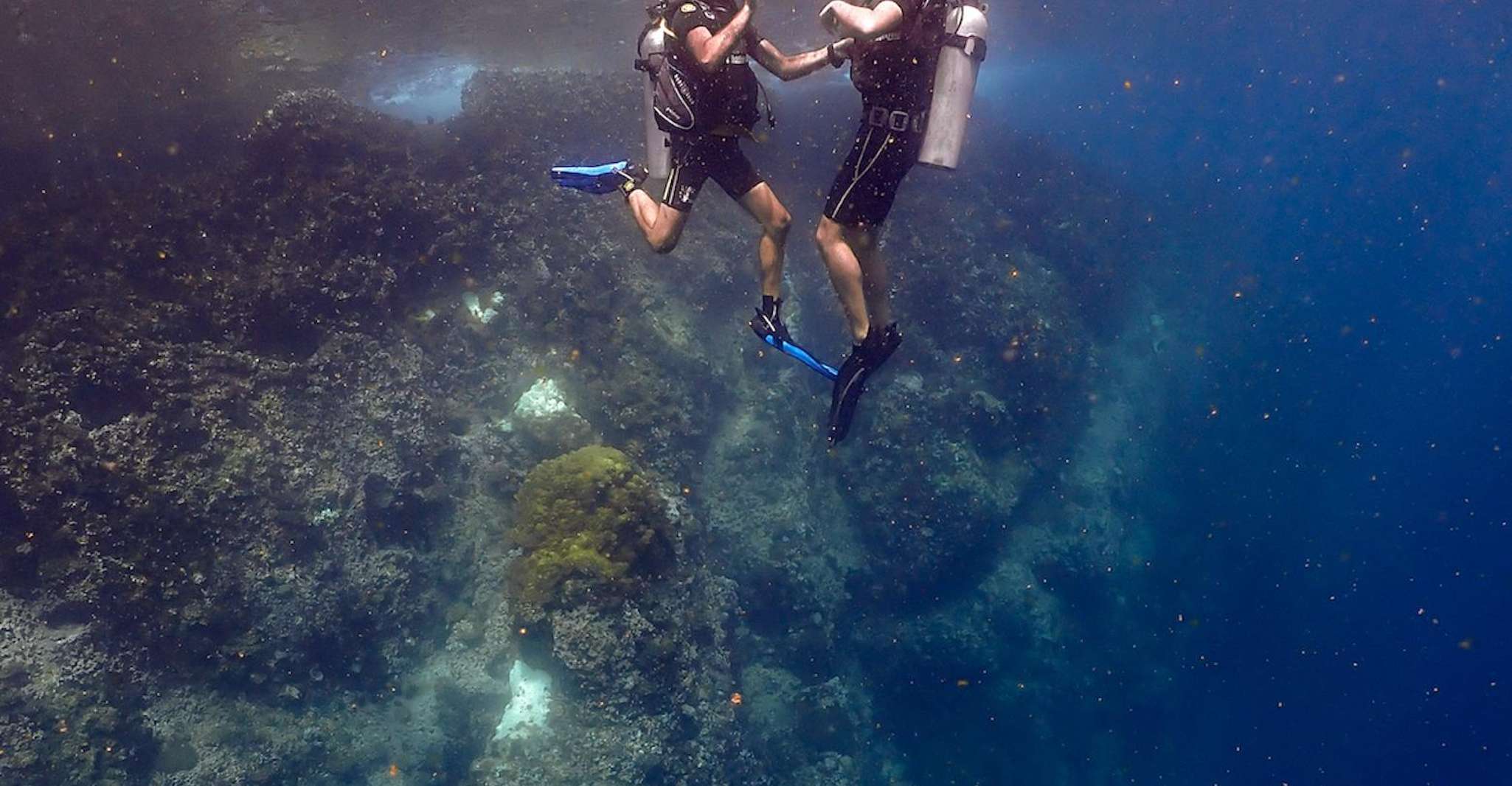 Plonger dans les profondeurs et explorer les fonds marins