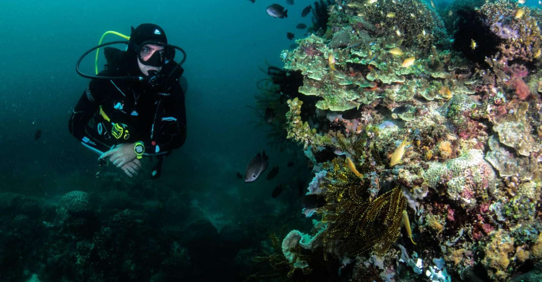 Plonger dans les profondeurs et explorer les fonds marins