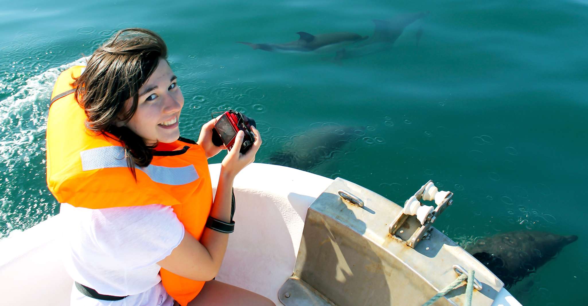 Observer et nager avec les dauphins