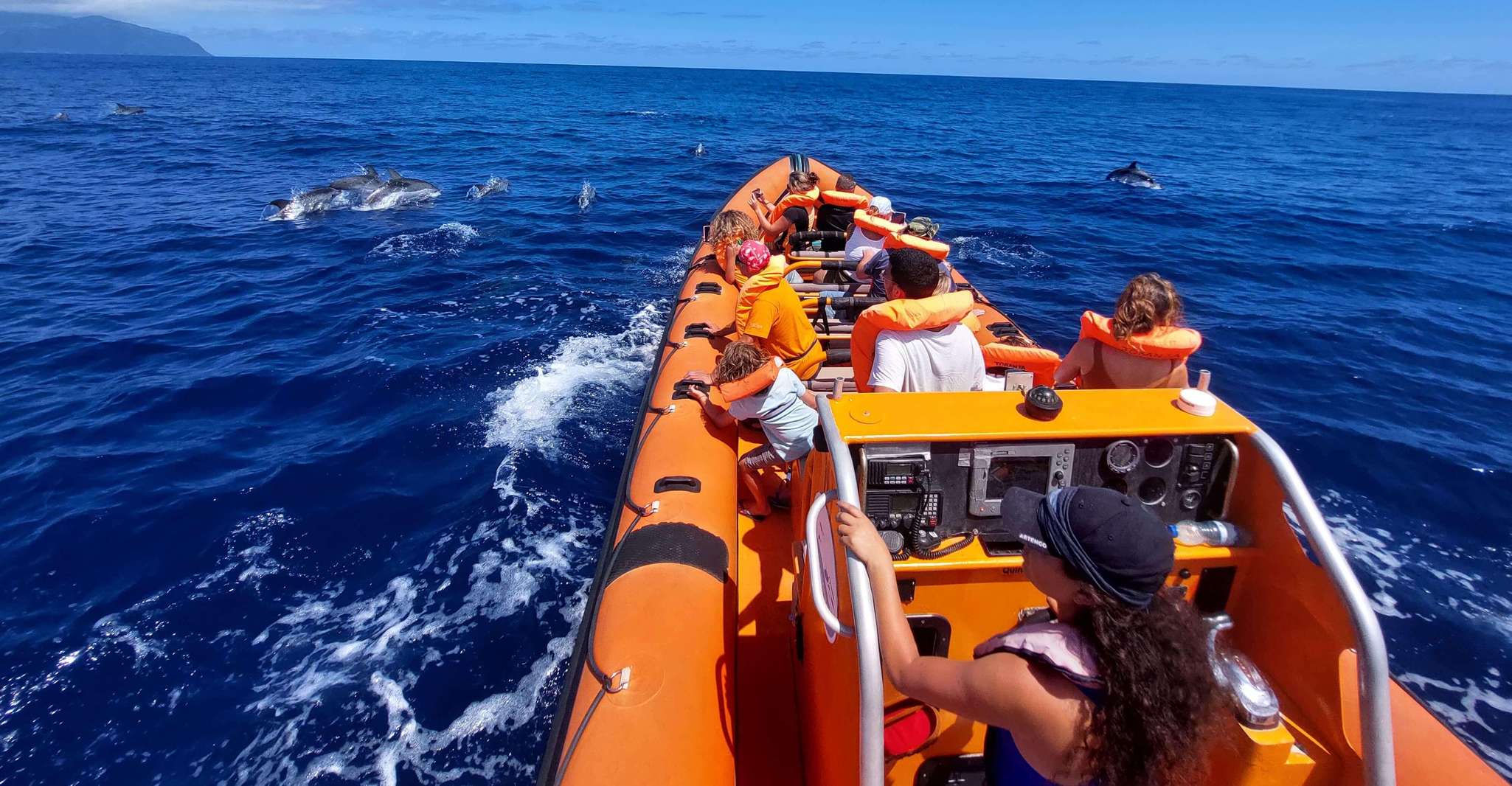 Croiser les cachalots géants au large des Açores