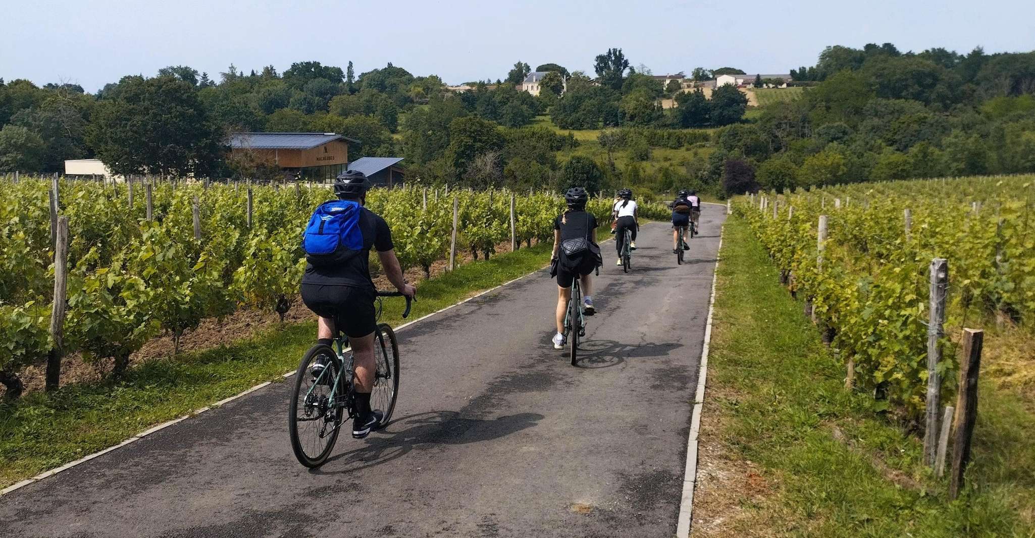 Parcourir la ville et les vignobles à vélo