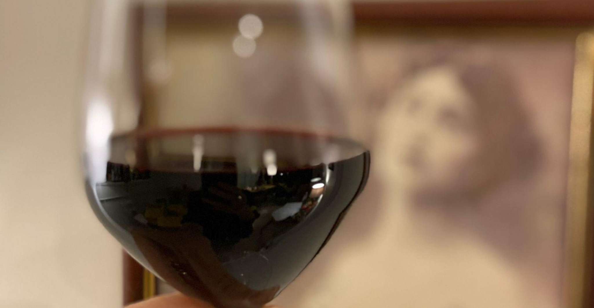 Plonger dans l'univers des vins des Pouilles