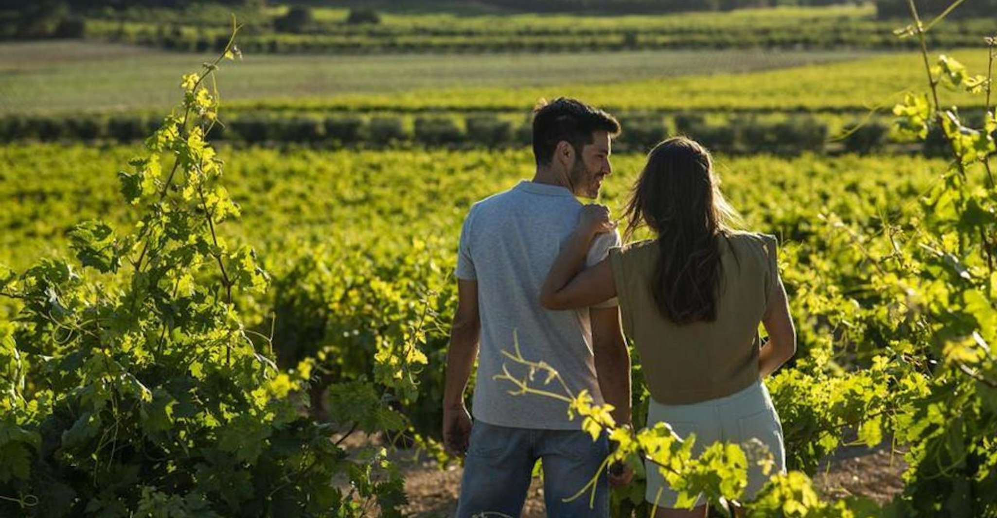 Déguster les vins dans les caves de la région