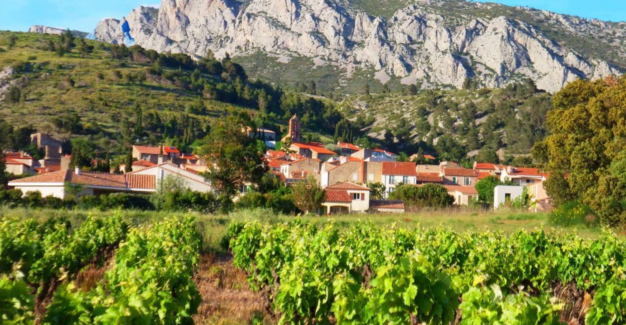 Déguster vins locaux chez les vignerons locaux