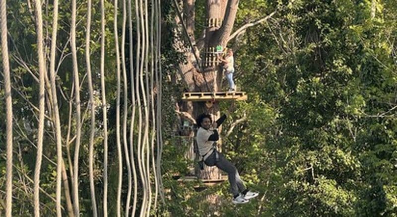 Accrobranche à Rouen