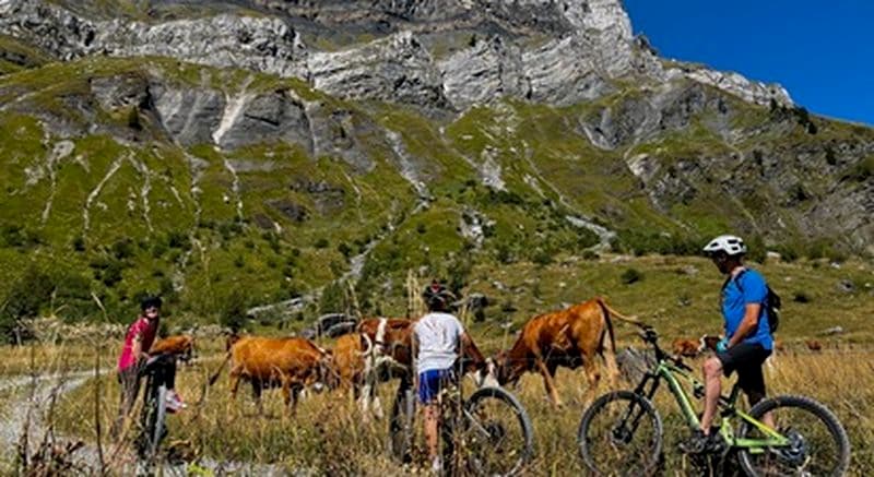 Randonnée VTT électrique dégustation près de Chamonix