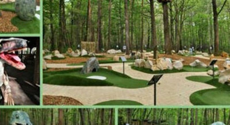 Minigolf en forêt à Bruyères-le-Châtel près de Paris