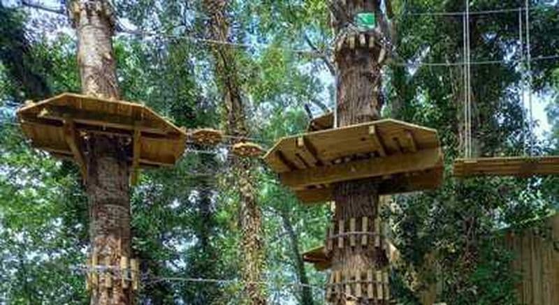 Accrobranche à Angoulême