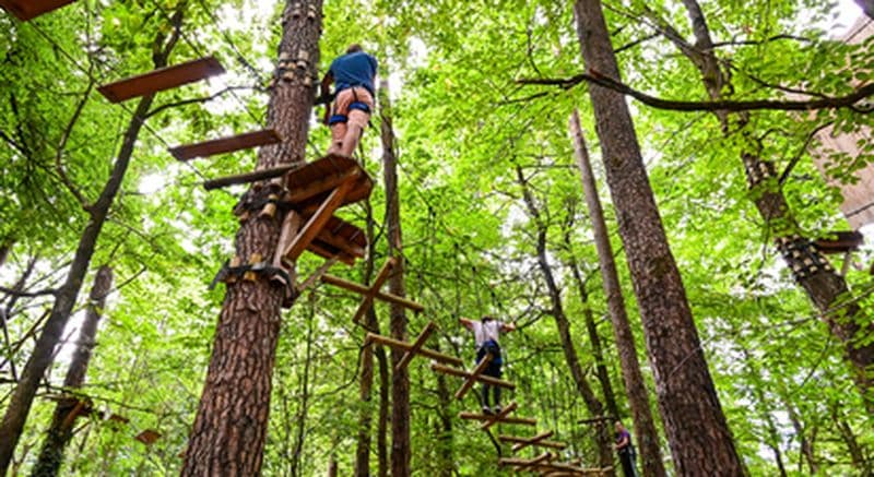 Parcours d'accrobranche dans la forêt de Camors