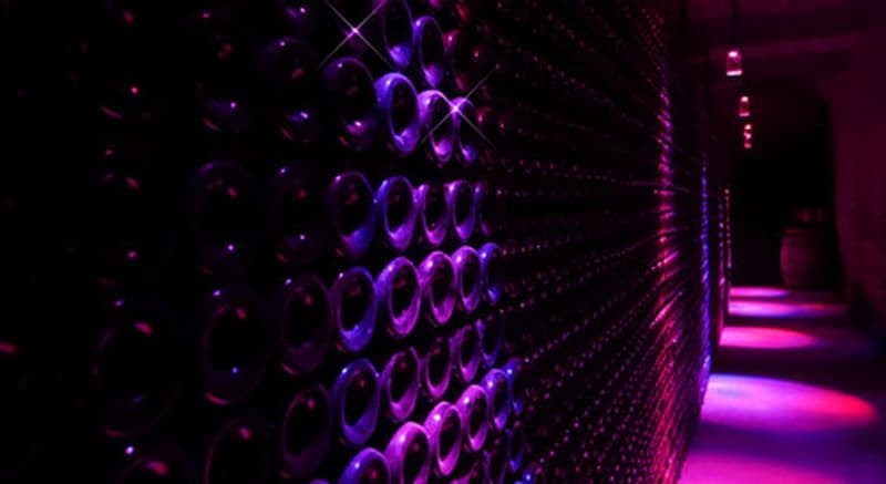 Visite insolite sons et lumière dans des caves à vin à Limoux près de Carcassonne