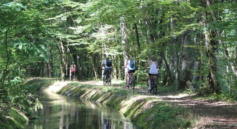 Location de VTT et VTCAE à Bazolles dans la Nièvre en Bourgogne