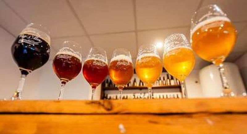 Atelier d'initiation à la dégustation de bière à Anthelupt près de Nancy