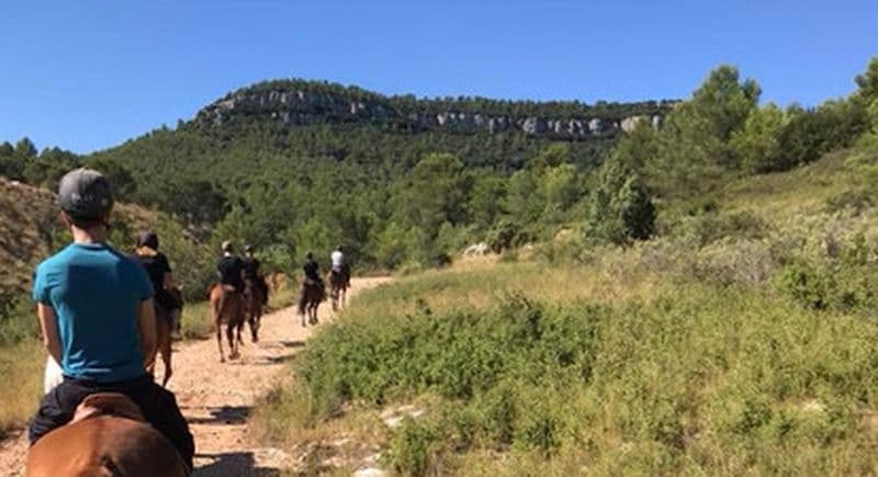 Balade à cheval en Provence près de Marseille