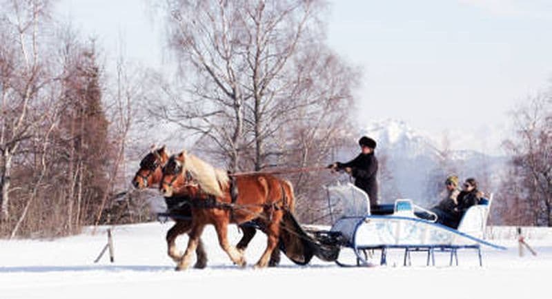 Balade en traîneau à cheval près de Chambéry
