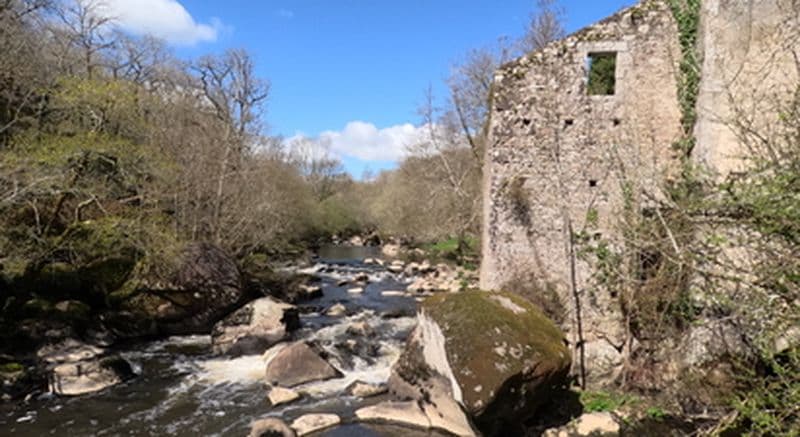 Randonnée d'une demi-journée près de La-Roche-sur-Yon