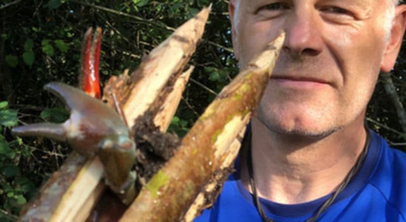 Vivez 3 Jours dans la Peau d'un Homme Préhistorique : Stage de Survie en Dordogne