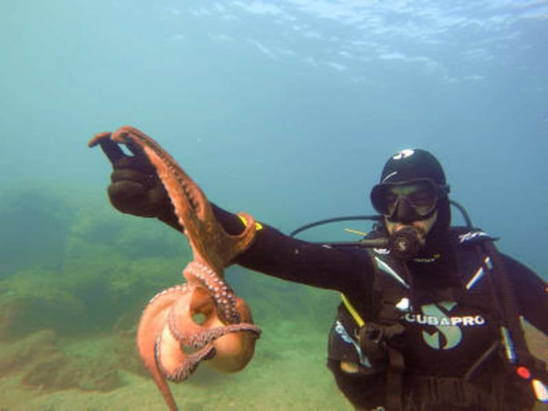 Baptême de plongée sous-marine à la plage d'Agia Marina, au sud d'Athènes