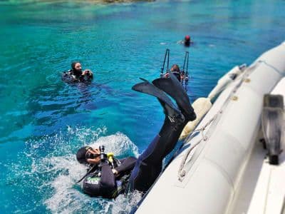 Plongée guidée en bateau à St. Peter's Reef, au départ d'Alonissos