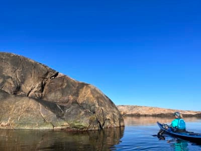 Excursion privée d'une demi-journée en kayak de mer au départ de Grebbestad dans le Bohuslän