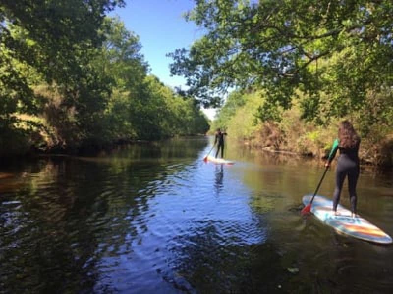 Billet Balade en Stand-Up Paddle à Biscarrosse