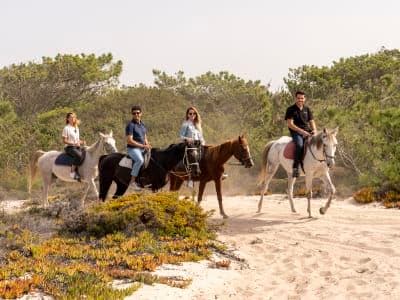 Visite guidée de Setúbal et excursion à cheval à Comporta, au départ de Lisbonne