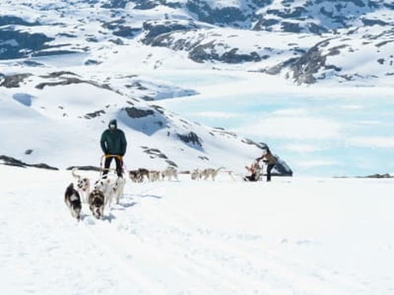 Billet Randonnée en traîneau à chiens sur le glacier de Folgefonna à Jondal