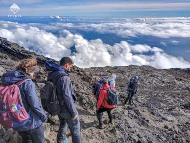 Billet Excursion d'une journée pour escalader le mont Pico à Ilha de Pico, Açores