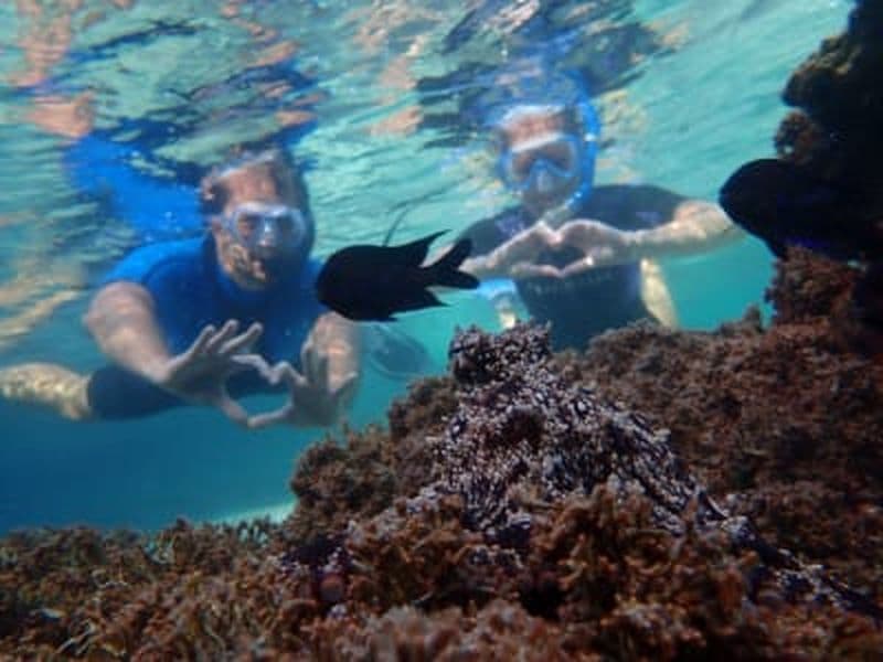 Excursion de snorkeling à Porto Santo, Madère