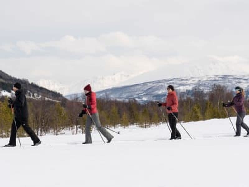Initiation au ski de fond à Breivikeidet depuis Tromsø