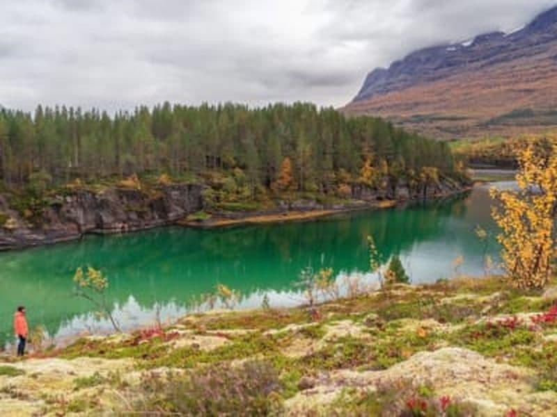 Billet Fjords norvégiens et photographie de la faune et de la flore au départ d'Abisko