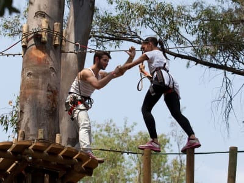 Accrobranche à Modderfontein près de Johannesburg, Gauteng
