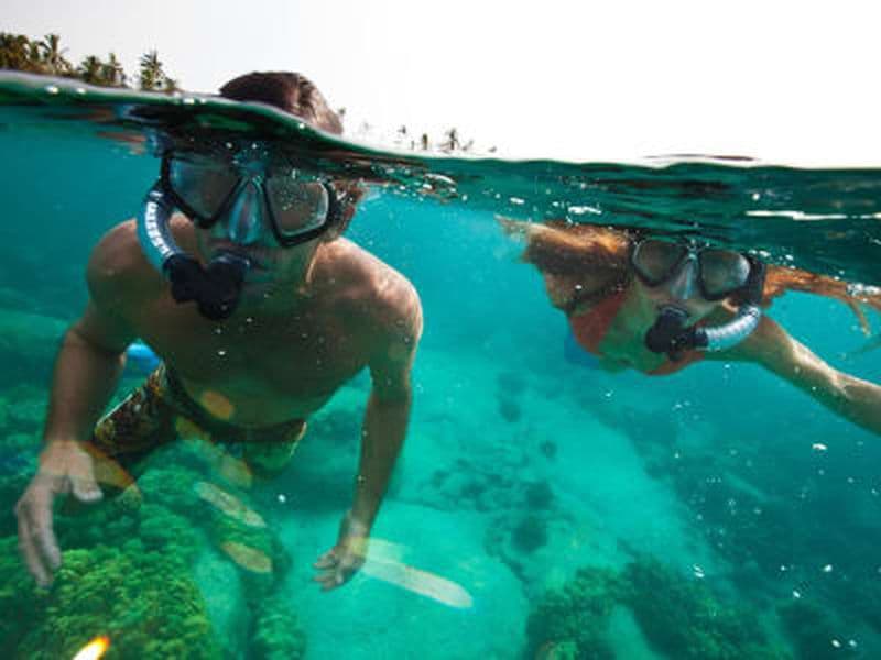 Excursion de snorkeling à São Miguel dans les Açores