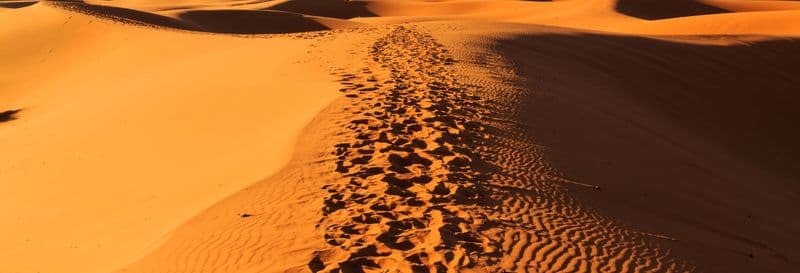 Billet Excursion de 3 jours dans le désert de Merzouga jusqu'à Fès