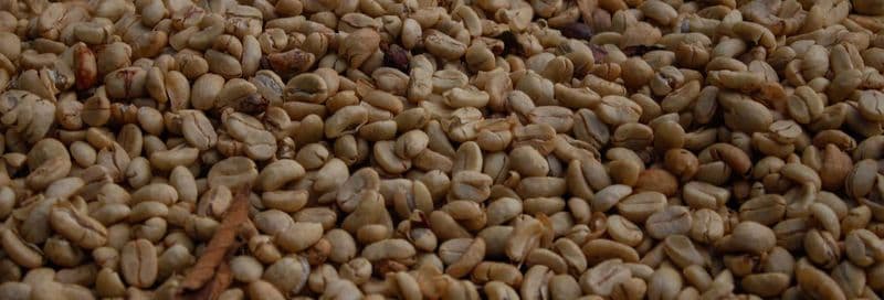 Visite à la découverte du café à Villa Rica