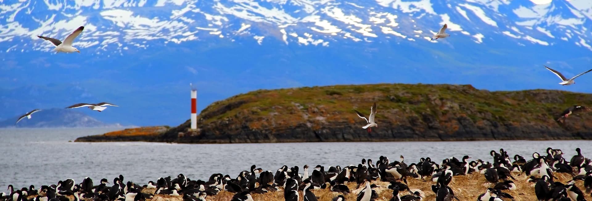 Balade en yacht sur le Canal Beagle + Randonnée à Bridges Islands
