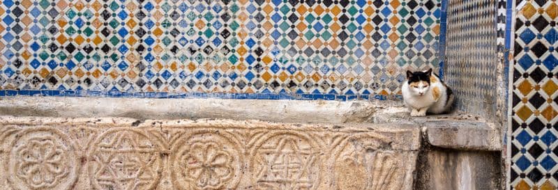 Billet Visite guidée dans Tétouan